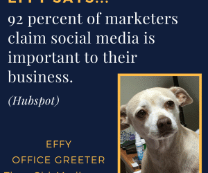 Effy Says… Social Media Matters