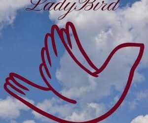 The Powerful Marketing Strategies of ‘Lady Bird’ that Charm Millennials