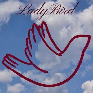 The Powerful Marketing Strategies of ‘Lady Bird’ that Charm Millennials