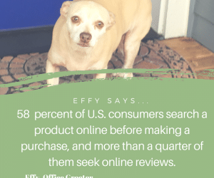 Effy Says… Your Online Reputation Matters