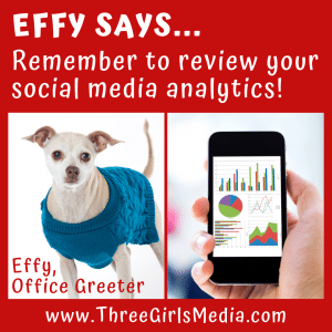 Effy Says... Remember to review your social media analytics