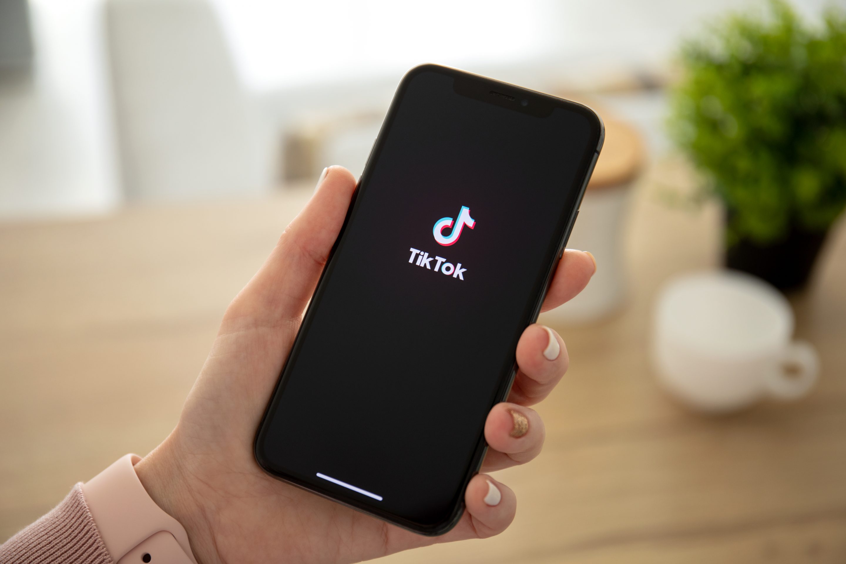 Marketing on TikTok - Person holding phone with TikTok app open