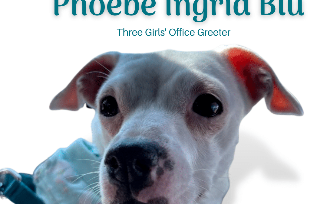 Welcome Phoebe Ingrid Blu