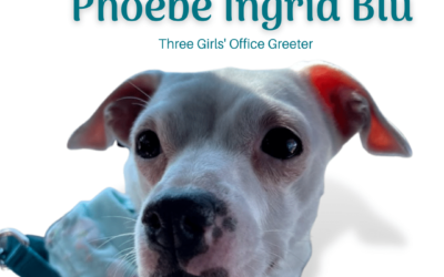 Phoebe Says … I Can’t Wait to Greet You!