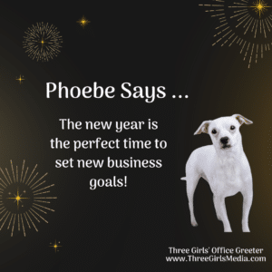 Phoebe says set new business goals in the new year