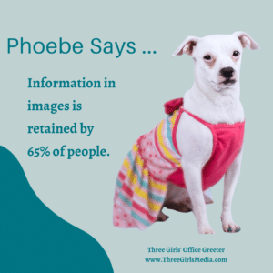 Phoebe Says Use Infographics