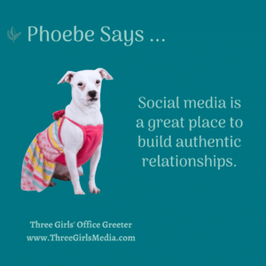 Phoebe Says graphic