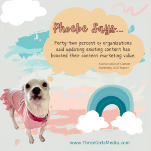 Cute puppy in pastel outfit