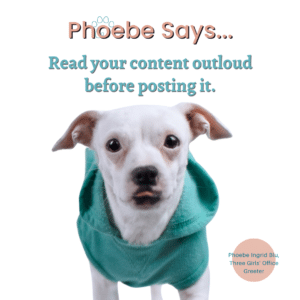 Cute Phoebe the dog in pastel colors