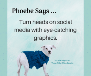Phoebe Says Graphics Social Media