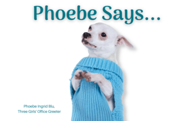 Phoebe Says…Paws For Inquisitive Thoughts!